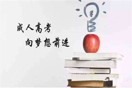 历年成考经验分享，别错过哦~