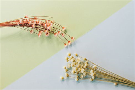 贵州成人高考本科有那几种方式？